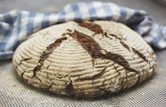 Brothaus Moberg Brot